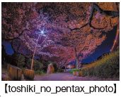 【toshiki_no_pentax_photo】