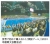 世界で初めて導入された「仮設プール」で行われた2001年福岡大会開会式の様子