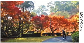 写真：秋のもみじ谷の紅葉