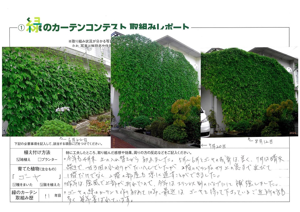 写真：≪一人一花賞≫久松宣慶様の緑のカーテンの様子。植え付け方法：地植え、育てた植物：ゴーヤ、緑のカーテン歴：11年目