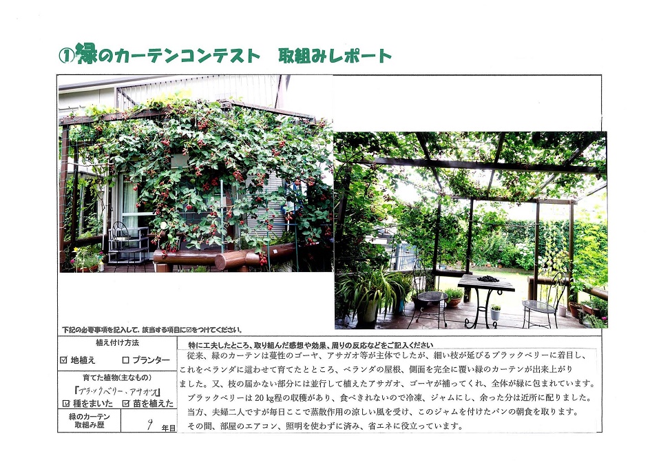 写真：≪優秀賞≫淀川信廣様の緑のカーテンの様子。植え付け方法：地植え、育てた植物：ブラックベリー・アサガオ、緑のカーテン歴：9年目