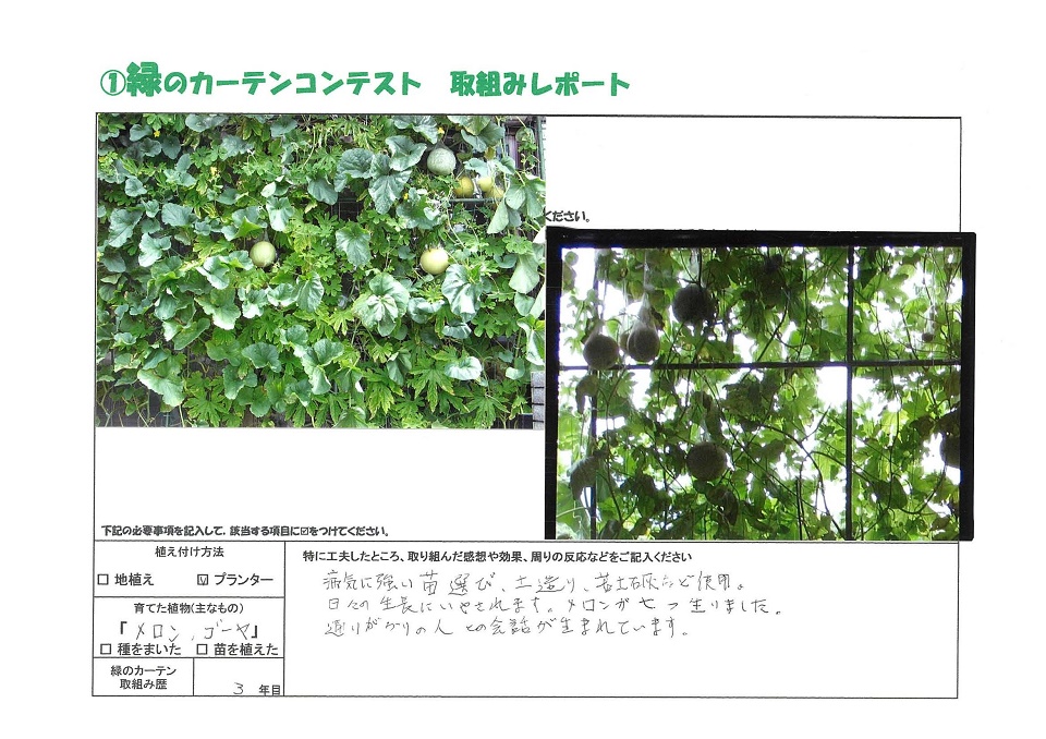 写真：≪新人賞≫藤原秀子様の緑のカーテンの様子。植え付け方法：プランター、育てた植物：メロン・ゴーヤ、緑のカーテン歴：3年目