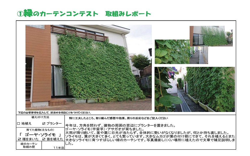 写真：≪優秀賞≫福岡市七隈公民館様の緑のカーテンの様子。植え付け方法：プランター、育てた植物：ゴーヤ・ソライモ、緑のカーテン歴：11年目