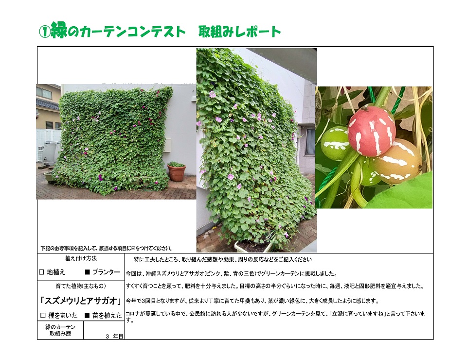写真：≪新人賞≫福岡市東箱崎公民館様の緑のカーテンの様子。植え付け方法：プランター、育てた植物：スズメウリ・アサガオ、緑のカーテン歴：3年目