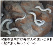 宋栄寺境内には弁財天の使いとされる蛇が多く祭られている