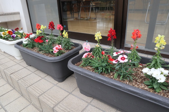 画像：公民館の玄関先を彩る花々