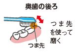 奥歯の後ろは、つま先を使って磨く