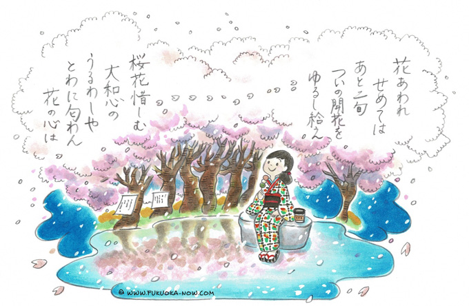 博多の豆知識「市民の思いが残した桧原桜」のイラスト