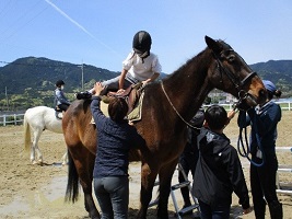 馬に乗る子どもの写真