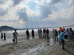 写真：今津干潟保全活動の様子