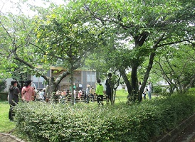 木陰で大人と子どもが一緒に遊ぶ様子の写真
