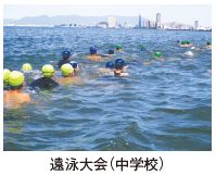 遠泳大会の写真