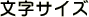文字サイズ