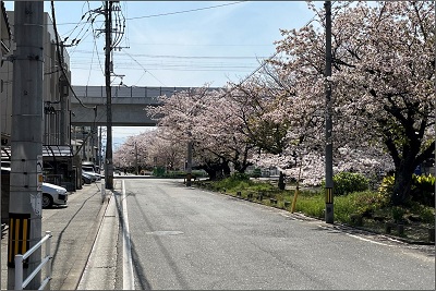 雑餉隈(ざっしょのくま)5号踏切（施工後）