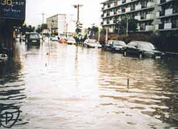 早良区干隈の写真