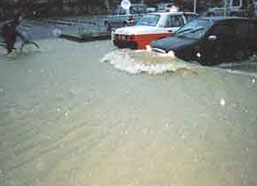 西区姪浜の写真