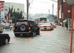 南区中尾の写真