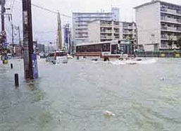 城南区七隈の写真