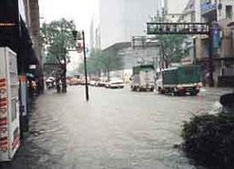 中央区天神・今泉の写真１