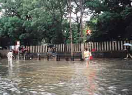 中央区天神・今泉の写真２