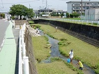 油山川の写真