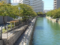 香椎川の写真