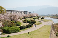 室見川の写真