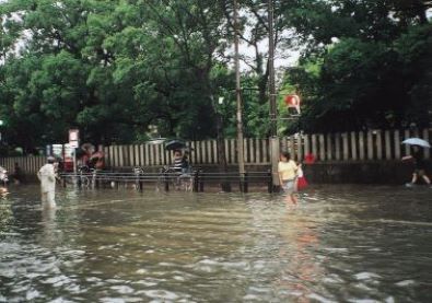 国体道路（警固神社付近）の浸水被害状況の写真