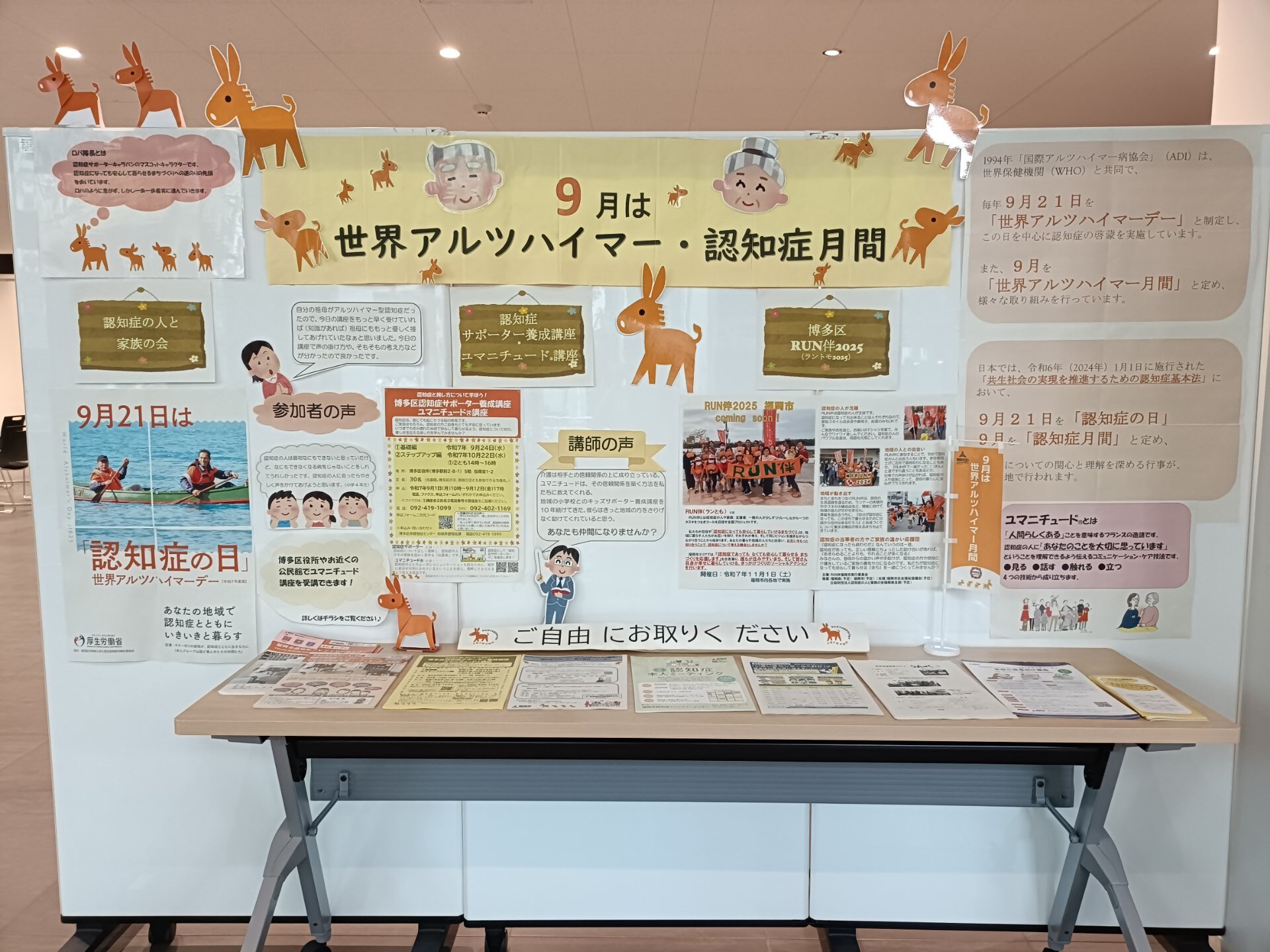 展示物の写真
