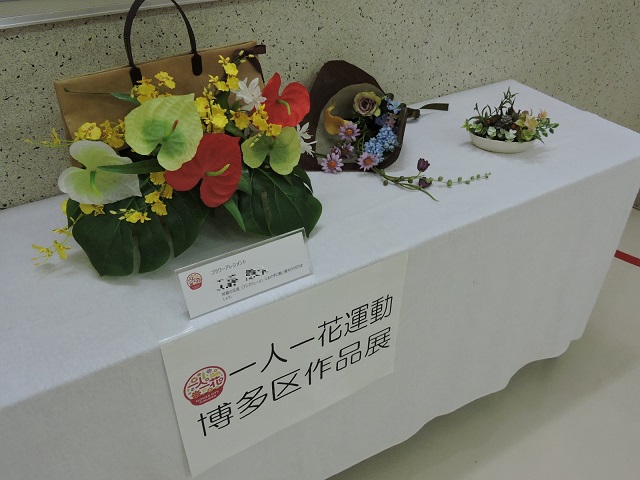 展示の様子