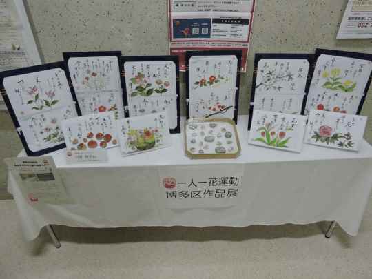 展示の様子