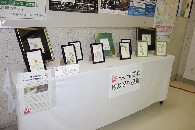 展示の様子