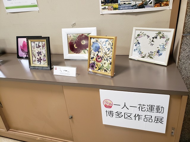 画像：展示の様子の写真