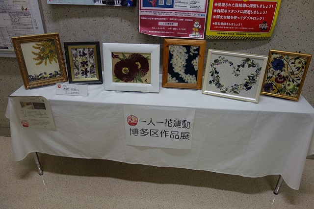 展示の様子