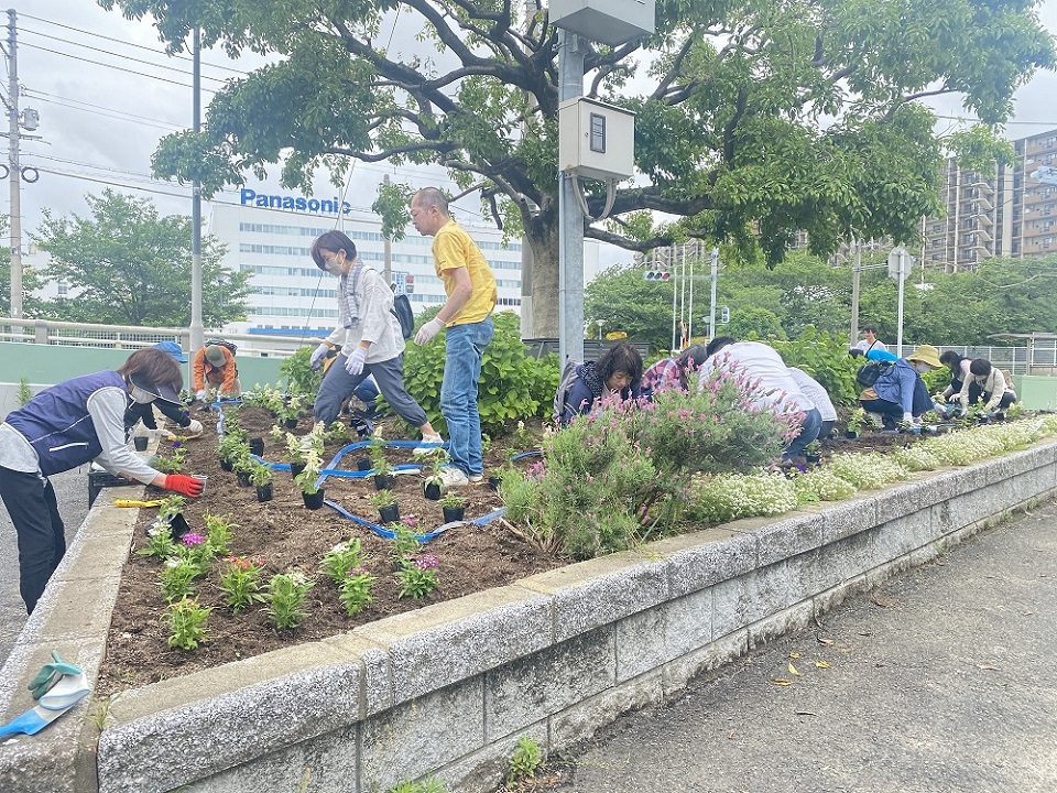 花の植替えその３