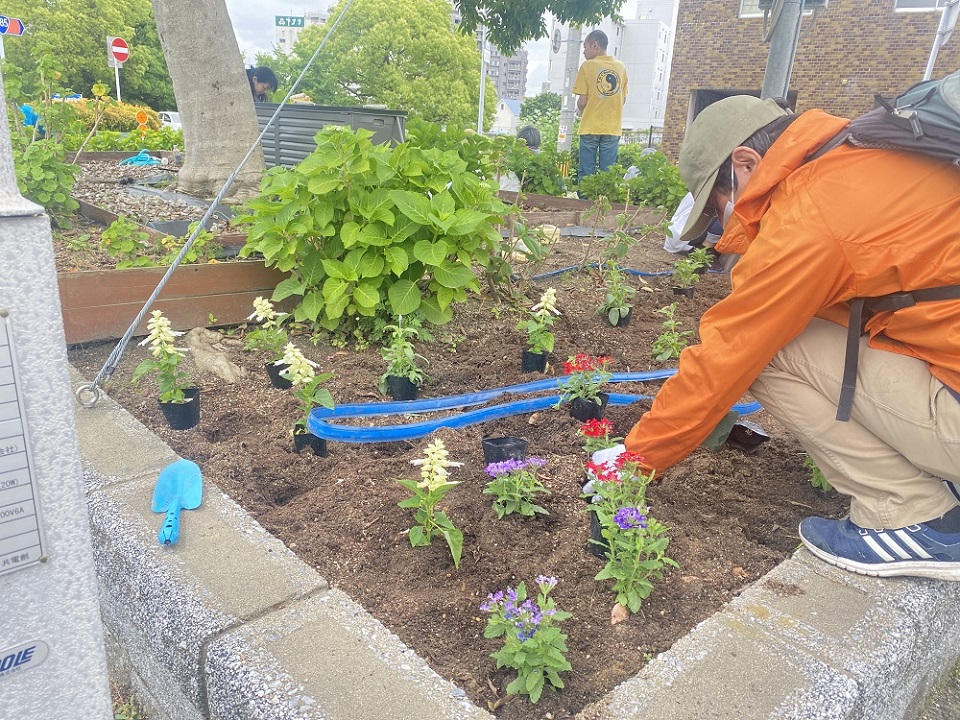 花の植替えその１