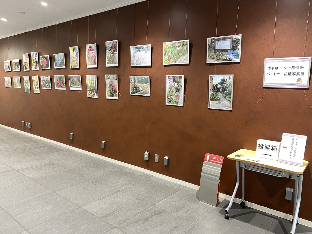 作品展の風景