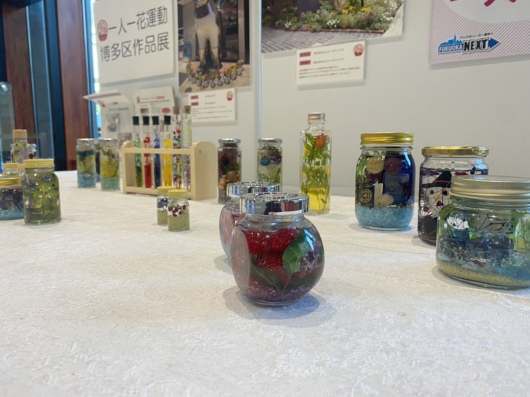ハーバリウム作品展全体像