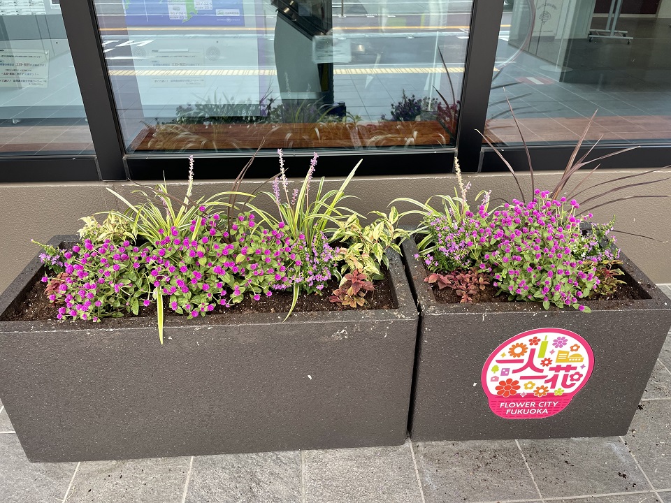 博多区役所フラワーポット３