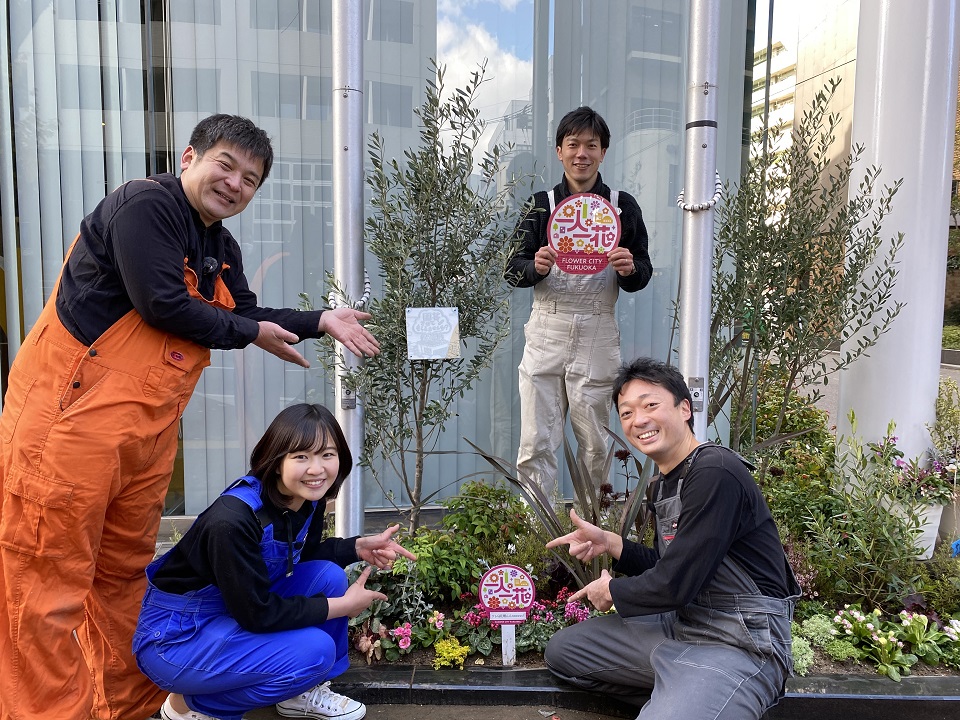 テレQ花壇