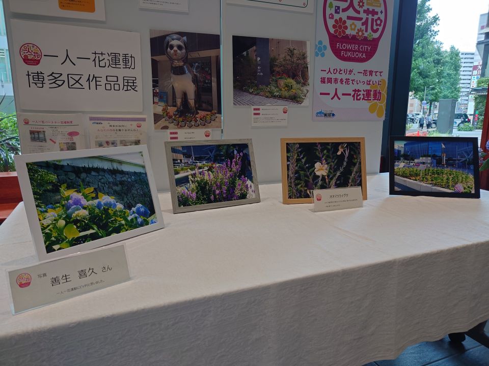 花の写真