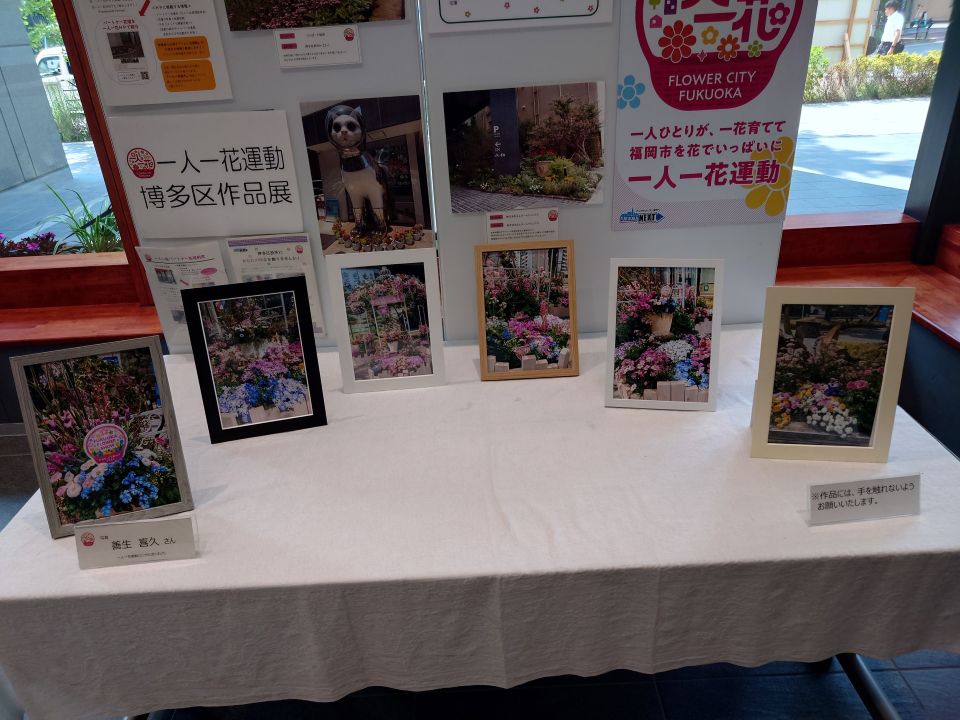 花の写真です