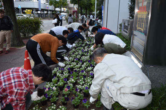 専門学生達が花壇の両側で一斉に植え替えている写真