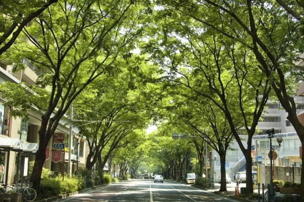 緑溢れる福岡の街並み