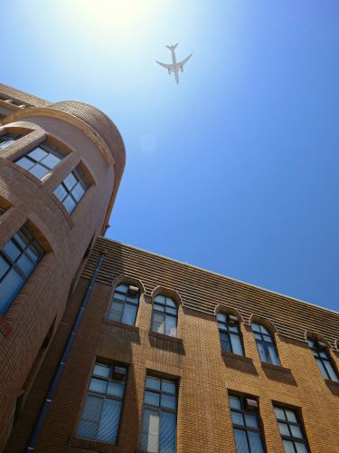 九州大学総合研究博物館