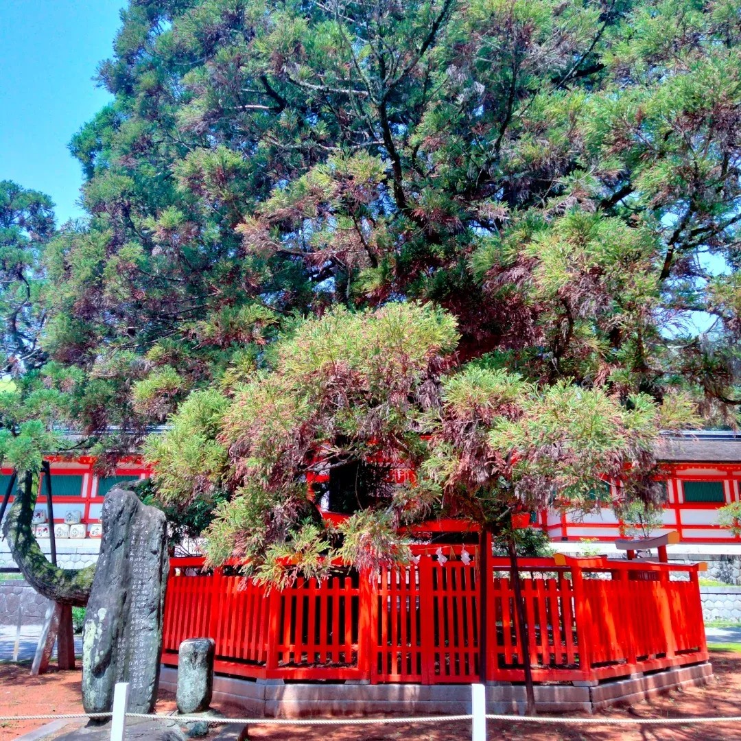 香椎宮