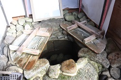 不老水内部