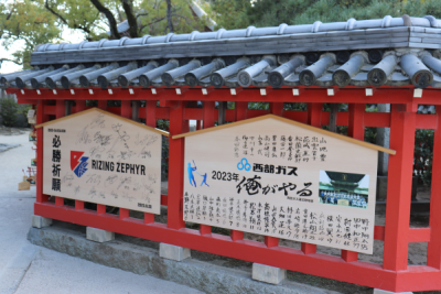 筥崎宮の筥松