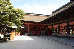 筥崎宮の本殿