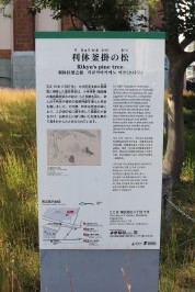 利休釜掛けの松の看板